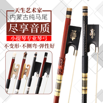 Red cotton violin bow Real horsetail hair Performance grade Brazilian Sumu violin bow 1 2 3 4 4 Accessories