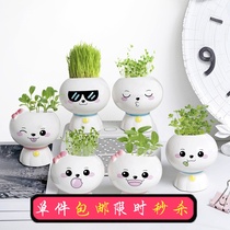 Office desktop mini ornaments creative diy childrens small potted plants radiation-proof green plants Childrens plants