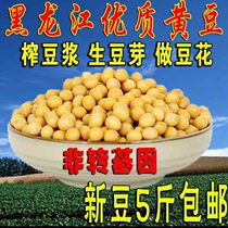 New items in the season northeast soybeans 5kg farm home-grown yellow natto squeezed soybean milk bean sprouts soybeans