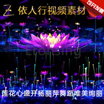 According to peoples line LED material big screen stage video background material Yang Liping Lotus heart dance finished beautiful