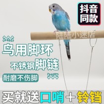 Bird-in-bird theorist parrot with flying rope for bird-rope hongfeng foot ring foot chain not hurting the foot tiger leather bird pulling rope peony