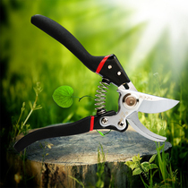 Pruning shears special garden flower pruning branch scissors fruit tree scissors flower scissors gardening scissors tool big star