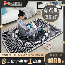 Sanshun warm ins Wind floor heating mat carbon crystal household heating mat modern simple living room European style Electric Carpet