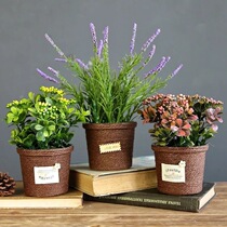 Simulation succulent small bonsai fake flower potted home living room indoor green plant desktop decorative flower set ornaments