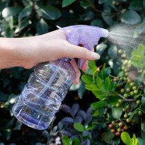 450ML Air Pressure Transparent Spray Pot Home Small Pressure Sprayer Plant Watering Watering Garden Art Tools