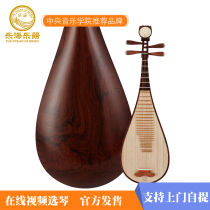 914 Aoshi yellow sandalwood wood color wooden shaft wood flower blossom rich headdress PIPA