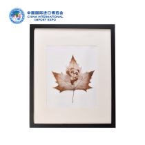 China International Import Expo Import Fair Maple encounter photo frame 40*50cm Jinbao gift Box