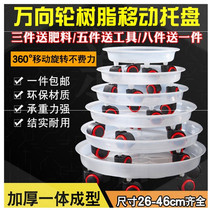 Embroidered heightened bonsai √ new plant? Plastic with pads. Load-bearing pot tray i round. Thick row of brackets