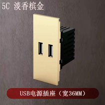 CHINT switch 118 type NEW5C large panel borderless champagne gold dual USB power outlet mounting module