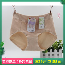 4 Daisy girl panties 25090 womens mid-waist cotton large size XL fairy shield briefs female
