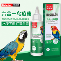 Parrot bird special fainting water green stool conditioning closed eyes fried hair Cough sneezing Cold common diseases Daquan Parrot fever