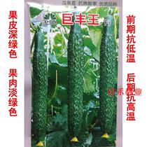 Cucumber seeds Cucumber seeds Early maturity high disease resistance high yield spring and summer autumn sowing open-air greenhouses vegetable seeds