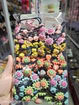 New cute little lion zaghaired rubber band knotted hair rope hair ring female sturdy zucked head rope headwear hair accessories 60 strips