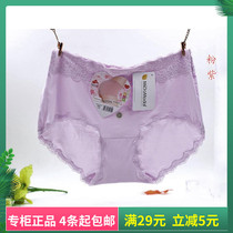 4 Daisy girl solid color Modal comfortable soft Lace mid-high waist briefs 29139