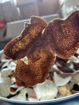  Authentic Xinhui Meijiang Tangerine peel 3 years tea raw and dried warehouse aging collection level 250g gift bag gift canned