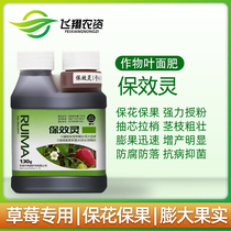 Baoluiling strawberry special flower-preserving fruit-preserving puffing agent to promote flower bud differentiation and yield-increasing agent pollination