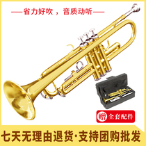 B-down trumpet Young Pioneer Youth Bugle Charge Musical instrument Western wind string Beginner examination