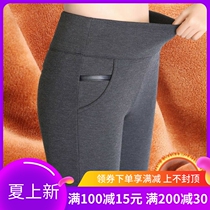 Japanese gush thickened beating underpants female outside wearing high waist closedown warm elastic display slim lamb suede all-in pants big code