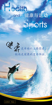 546 film poster printed display board inkjet photo 835 gym culture wall sports slogan