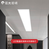 LED intelligent crystal standard subsection long panel lamp with long panel light