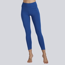 TH3YOGA Lycra sports womens yoga pants tight thin fast leg slim nine-point pants brand 3010