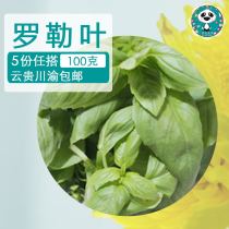 Basil Leaf Spices Fresh basil leaf 100g Sweet basil leaf Oro can make green basil sauce