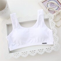 Pure Cotton Adolescent Girls Bra Underwear Hair for secondary school students Small vests No steel ring Women Smear Breast Wrap Breast movement Chest Clothing Women