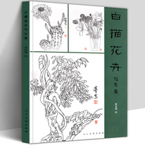  (8 open 106 pages)White sketch flower sketchbook Qin Quan Zeng painting Chinese painting flowers and birds painting woody herbal plants White sketch line draft Vegetables and fruits flowers example copying skills Reference learning tutorial Textbook books genuine