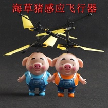 New strange induction suspension seagrass pig aircraft toy small flying fairy childrens products remote control aircraft manufacturers