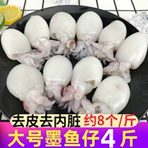 Big cuttlefish 4kg fresh fresh seafood frozen cuttlefish fish fresh frozen hot pot ingredients aquatic small cuttlefish