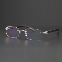 Pure Titanium Frame without frame Mens retro Myopia Eye Frames Horn Mirror Legs Super Light Pure Titanium Box 9013