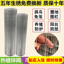 Hot galvanized barbed wire without rust iron fence fence chicken duck pigeon rabbit balcony mesh corn rod