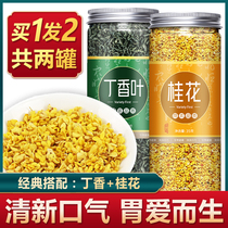 Ding Guiling tea Yangwei lilac sweet-scented osmanthus warm stomach stomach flatulence pylorus bad breath tea black tea