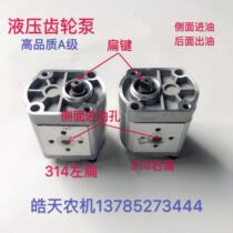 High pressure cast iron gear CBN306CBN310 CBN306CBN310 CBN314 CBN314 CBN320 CBN325 CBN325 pump