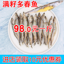 Freeze-dried Multi-spring fish kitty Little fish Dry snacks No salt full of seeds Large number of spring fish motherfish Fatter Supplement Calcium and Cat Food