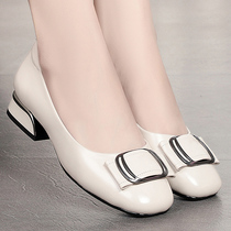 Shallow single shoes womens middle-aged mother shoes spring and Autumn soft-soled leather comfortable flat low-heeled shoes large size womens shoes 41