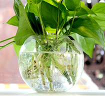 Creative ice flower hydroponic transparent glass vase small fish tank modern simple living room dining room green dill flower arrangement ornaments