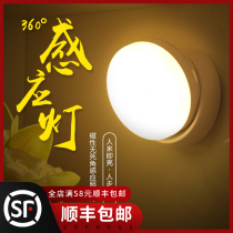 Human body induction intelligent led night light charging staircase energy-saving voice-activated toilet light control home aisle wireless