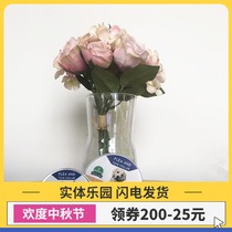 Pet cat ring dog ring flea anti-lice cat mosquito repellent flea collar in vitro insect repellent ring leaping ring