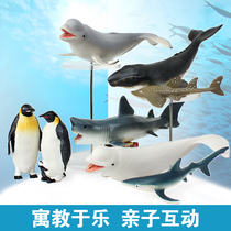 Simulation marine animal model Great White shark Gray Whale Beluga Whale Emperor Swan Plowhead Ray Childrens toys Underwater world