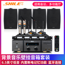 Lion Music conference room audio amplifier set wall-mounted special professional wall-mounted shop speaker 2011B 105