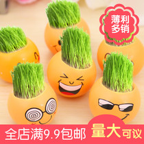 Full office mini plant small potted green youth planting expression grass doll fleshy ecological bottle