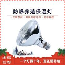 Chicken insulation lamp family version piglet pet chicken duck goose heating equipment livestock and poultry chicken chicks heating lamp piglet seedling