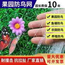 Agricultural bird-proof net bird-proof fish pond farming fence plastic grape cherry fruit tree nylon net Rice