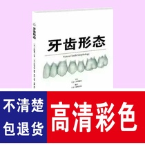 Tooth Morphology by Shigeru Kataoka Ed