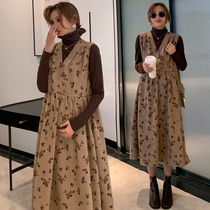 Pregnant Woman Spring Dress Suit 2021 Ocean Gas Fashion High Collar Pregnant Woman Sweater Light Core Suede Harness Skirt two sets of dress