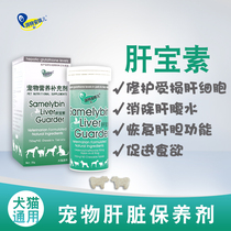 Angel Pet Hepatitin Repair Old Dog Cat Liver Improves Chemical Liver Injury Nutrition for Dog Cat
