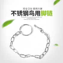 Parrot ring parrot anklet chain Starling peony peony parrot Magpie shrew stainless steel station frame bird chain does not hurt feet