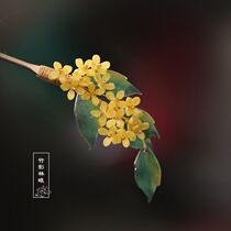 Pellet head hair Hairpin Brief about modern everyday osmanthus Osmanthus Hair hair Hair Accessories of Fairy Qi Classical Ancient Wind Hair Accessories Hanfu