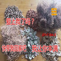 Wild Kudzuvine Balls Milk Grass Increased milk hannets Grass Angelica Milk Gain high Qiongan Peach Breast Milk Grass Fruits Milk 30 Pay